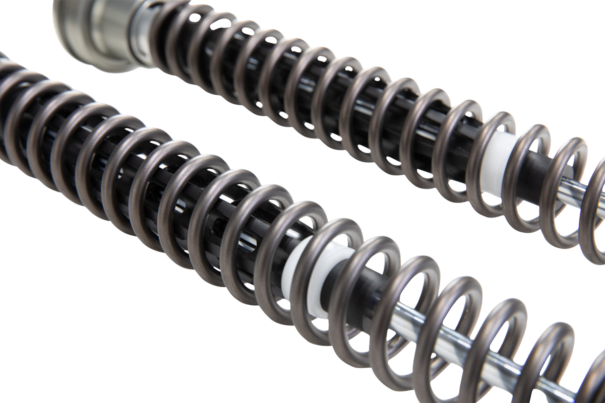 Ohlins Fork Cartridge Kit (FKR202)
