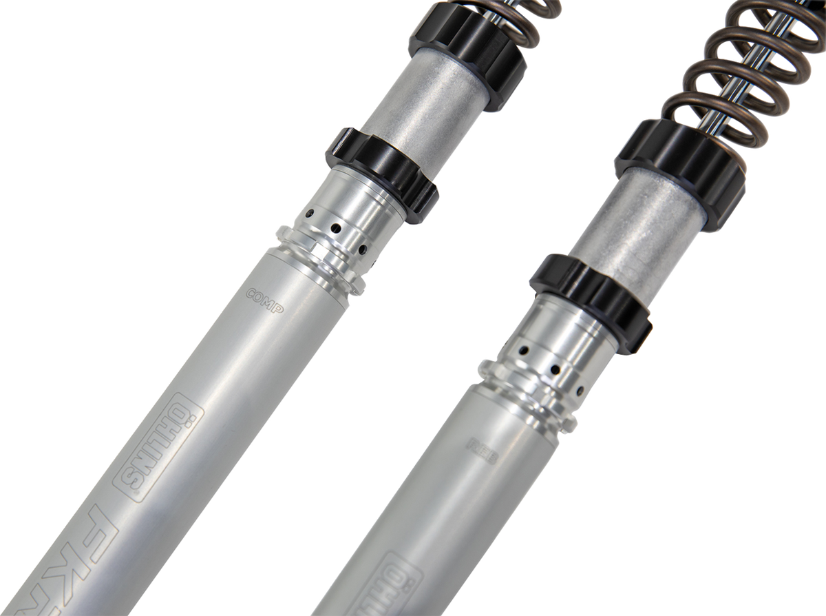 Ohlins Fork Cartridge Kit (FKR202)