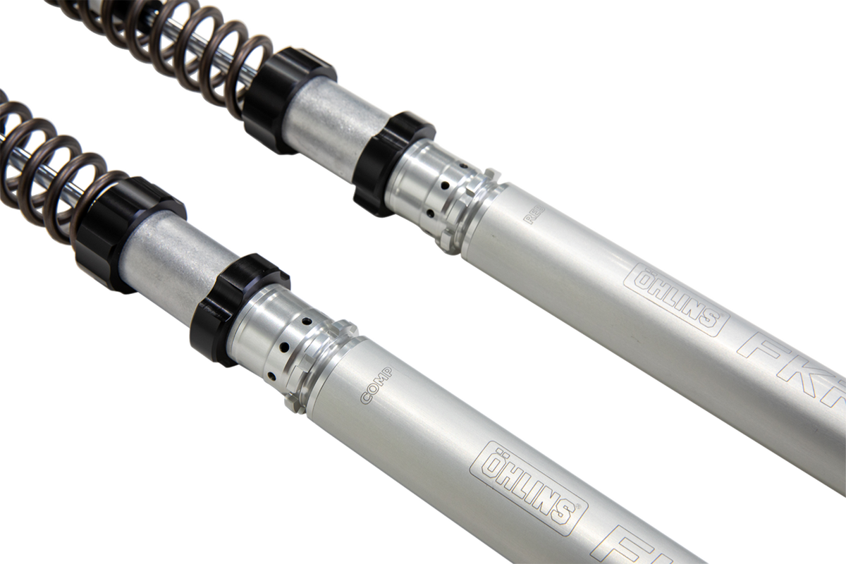 Ohlins Fork Cartridge Kit (FKR202)
