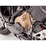 Ducabike Alternator Carbon Case Cover Slider for Streetfighter V4 V4S SP