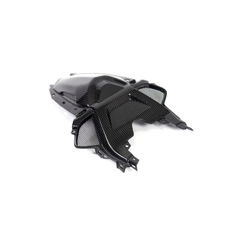 Ilmberger Carbon Fiber Solo Seat Rear Tail Panel for S1000RR 2019 2020